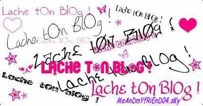 lach ton blog et ton msn